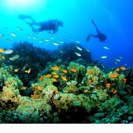 Lala Lodge Pemba Zanzibar Mgini Dış mekan fotoğraf