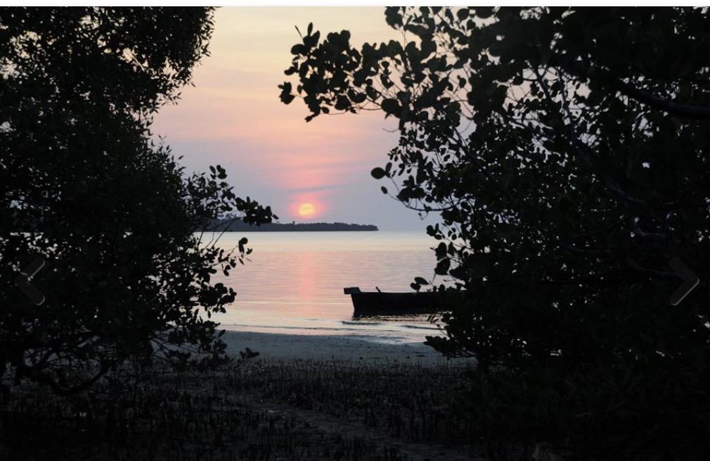 Lala Lodge Pemba Zanzibar Mgini Dış mekan fotoğraf